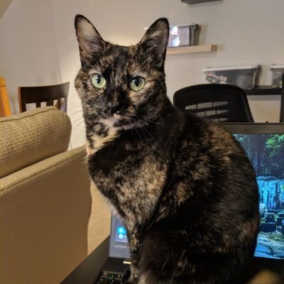 Profile Picture of Dan Carrozzi (@DanCarrozzi) on Twitter