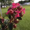Profile Picture of Amanda Venable Mier (@@user106753405) on Tiktok