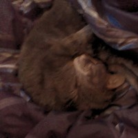 Profile Picture of Keaton Hansen (@keaton-hansen-3) on Quora