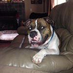 Tyler Bones💀 - Instagram Profile Picture of Tyler Bones💀 (@tylerbones8) on Instagram