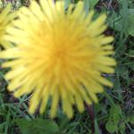 Profile Picture of Anne lindblad-kaasalainen (@annelindbladkaasalainen9759) on Instagram