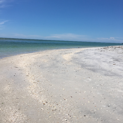 Profile Picture of Ann DiPietro (@AnnDiPietro) on Twitter