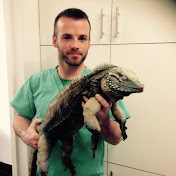 Profile Picture of Dr Sean McCormack (@drseanmccormack8611) on Youtube