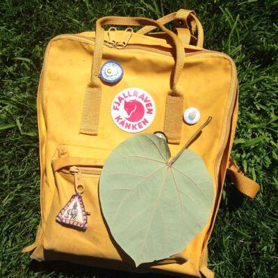 Profile Picture of Jillian Coleman (@santayanamarga1) on Twitter