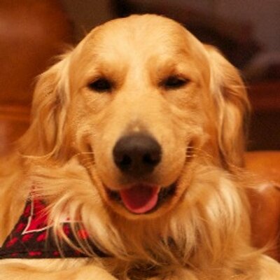 Profile Picture of James A. Soderberg (@jamesasoderberg) on Twitter