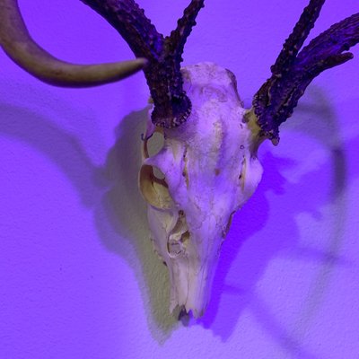 Profile Picture of Nick Locking (@nicklocking) on Twitter