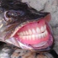 Profile Picture of James Poitra (@james-poitra-3) on Quora