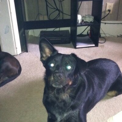 Profile Picture of Mike Neyer (@neyer_mike) on Twitter