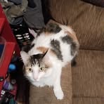 Profile Picture of Joseph Cox (@Joseph-Cox) on Facebook