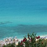 Profile Picture of Vicki Mazza-Murphy (@vickimazzamurphy) on Instagram