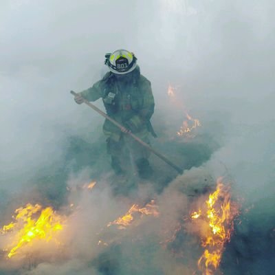 Profile Picture of Nathan Broaddus (@nathan_broaddus) on Twitter