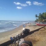 Profile Picture of David Bernbaum (@dbernbaum) on Instagram