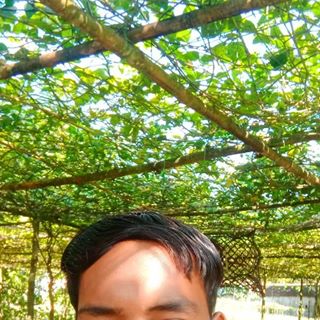 Profile Picture of Pankaj Roy (@Pankaj-Roy) on Facebook