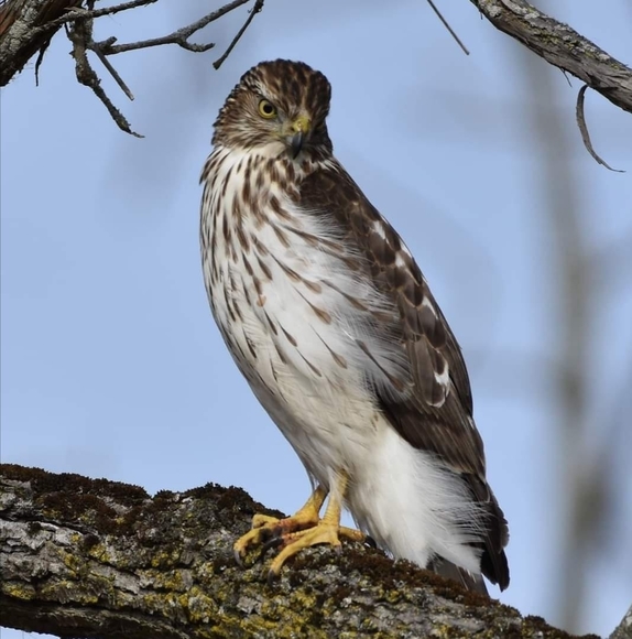 Profile Picture of Edda Lee (@eddalee1976) on Poshmark