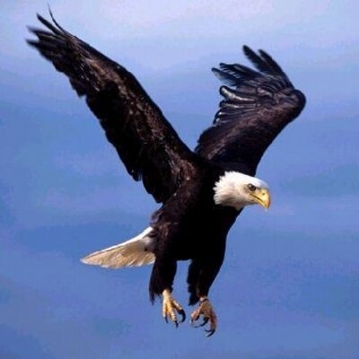 Profile Picture of Dave (@BrooksBrosSuit) on Twitter