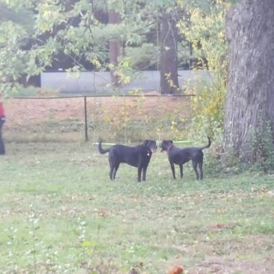 Profile Picture of Tom Ayer (@TomAyer) on Twitter