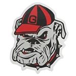 Profile Picture of Bill Foster (@forsythdawg65) on Instagram