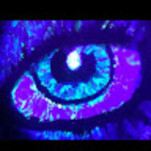 Profile Picture of David Saletta (@davidsaletta269) on Poshmark