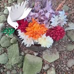 Janet Kovacs - Facebook Profile Picture of Janet Kovacs (@Janet-Kovacs) on Facebook