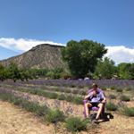 Profile Picture of Nathan Ringquist (@nringquist) on Instagram
