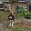 Profile Picture of Vivian Manning (@vivian.manning.710) on Facebook