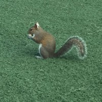 Profile Picture of Sky Harrison (@sky-harrison-7) on Quora