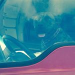 Profile Picture of Michael Teitelbaum (@vader696) on Instagram