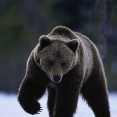 Dan Crawley - Twitter Profile Picture of Dan Crawley (@dcrawley11) on Twitter