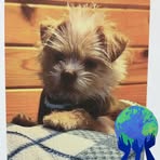 Profile Picture of Gary Marschke (@gmarschke) on Facebook