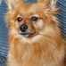 Profile Picture of Debra Guest (@debra.guest.980) on Facebook