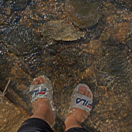 Profile Picture of Aaron Alatorre (@aaron.alatorre) on Tiktok