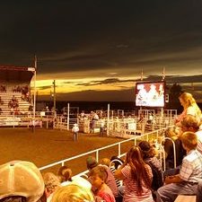 Profile Picture of Calvin Dale Webster (@CalvinDaleWebs1) on Twitter