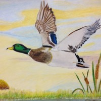 Profile Picture of Cindy Huang (@cindy-huang-98) on Quora