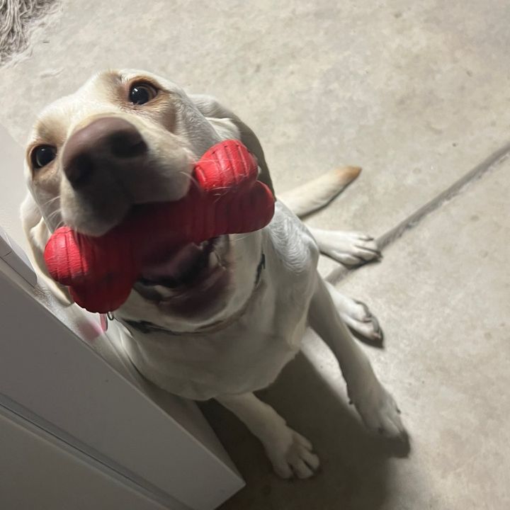 Profile Picture of emily (@emilycorchadoo) on Tiktok