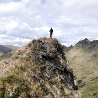 Martin Pallares - Twitter Profile Picture of Martin Pallares (@Martinminguchi) on Twitter