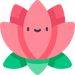 Profile Picture of Casey Naomi (@CaseyNaomi4428) on Pinterest