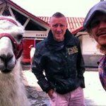 Profile Picture of Danny Dorney (@dannydorney) on Instagram