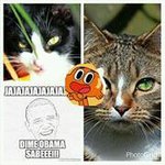 Profile Picture of Luis zuleta (@zuletaluis) on Instagram