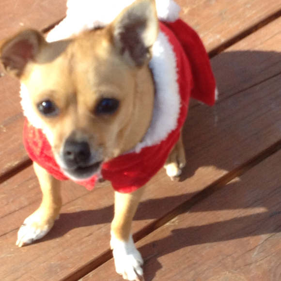 Profile Picture of Amanda Meredith (@mereditha11) on Poshmark