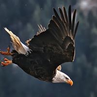 Profile Picture of Leah Hebert (@leah-hebert-4) on Quora