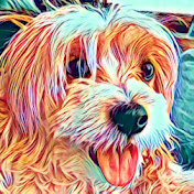 Profile Picture of Cassandra Weiss (@cassandraweiss5576) on Youtube
