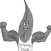 Profile Picture of Matt Tuohey (@matt.tuohey.1) on Facebook