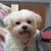 Profile Picture of Nancy Urso (@nancy.urso.1) on Facebook