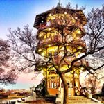 Profile Picture of Sonia Dasgupta Photography (@soniadasguptaphoto) on Instagram