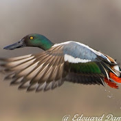 Profile Picture of Jason Chasse (@jasonchasse1769) on Youtube