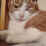 Profile Picture of Jeanine Andrews (@jeanine.andrews) on Instagram