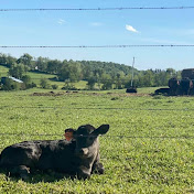 Profile Picture of Avery Hammonds (@averyhammonds9922) on Youtube