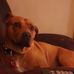 Profile Picture of Jason Felstead (@jason.felstead.568) on Facebook