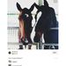 Profile Picture of Stacy Starling (@2sstarling) on Pinterest