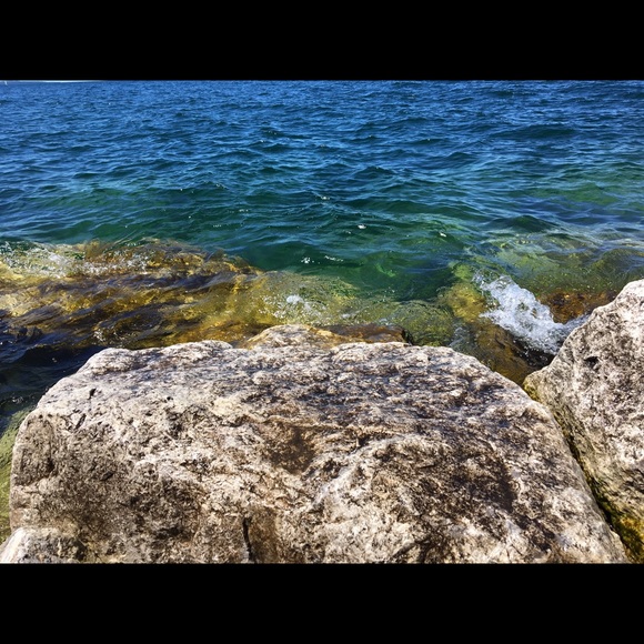 Profile Picture of Roman Mingrone (@romanmingrone) on Poshmark